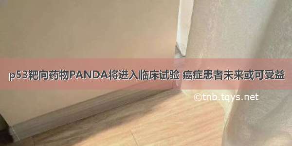 p53靶向药物PANDA将进入临床试验 癌症患者未来或可受益