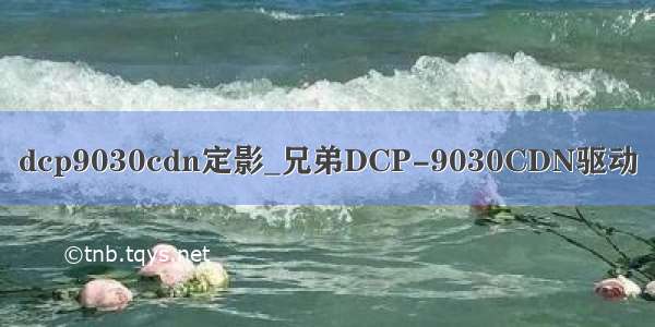 dcp9030cdn定影_兄弟DCP-9030CDN驱动