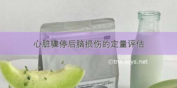 心脏骤停后脑损伤的定量评估