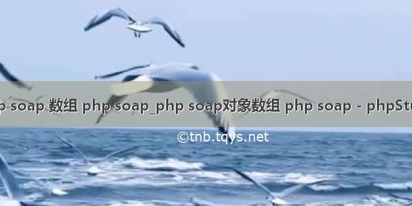 php soap 数组 php soap_php soap对象数组 php soap - phpStudy