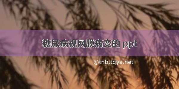 糖尿病视网膜病变的 ppt