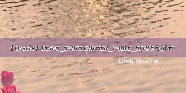 【Oracle】DBMS_STATS.GATHER_TABLE_STATS分析表