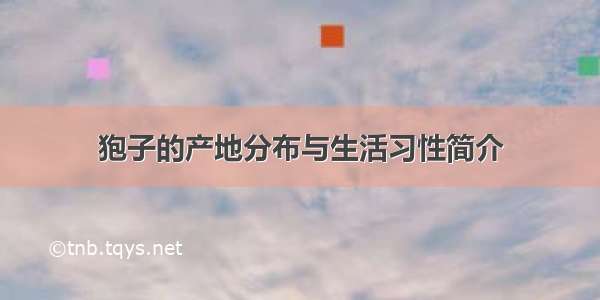 狍子的产地分布与生活习性简介