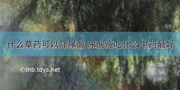 什么草药可以降尿酸 尿酸高吃什么中药最好