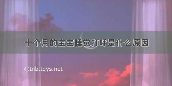 十个月的宝宝睡觉打呼是什么原因