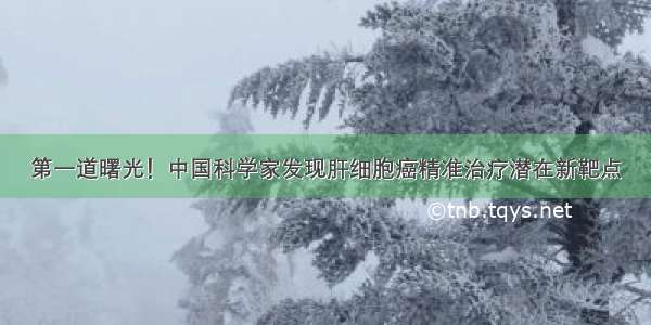 第一道曙光！中国科学家发现肝细胞癌精准治疗潜在新靶点