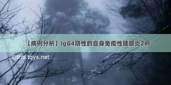 【病例分析】IgG4阴性的自身免疫性胰腺炎2例