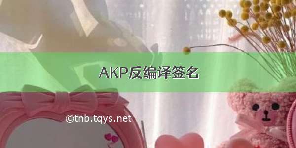 AKP反编译签名