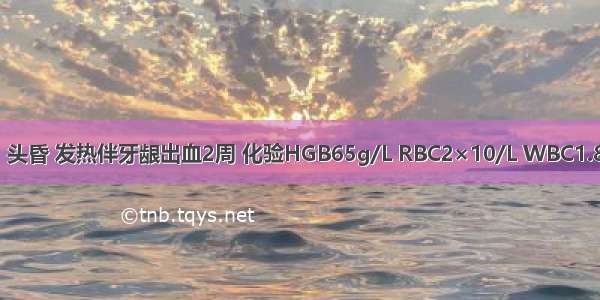 女性 32岁。头昏 发热伴牙龈出血2周 化验HGB65g/L RBC2×10/L WBC1.8×10/L PLT