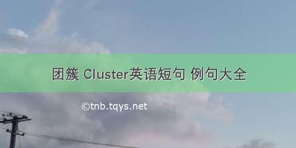 团簇 Cluster英语短句 例句大全