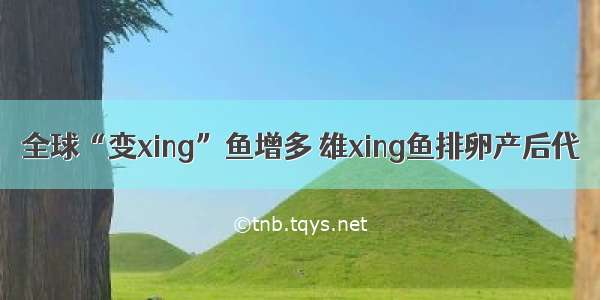 全球“变xing”鱼增多 雄xing鱼排卵产后代