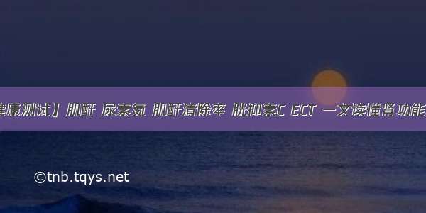 【健康测试】肌酐 尿素氮 肌酐清除率 胱抑素C ECT 一文读懂肾功能检查