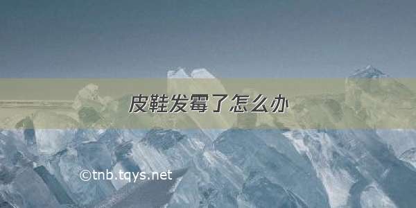 皮鞋发霉了怎么办