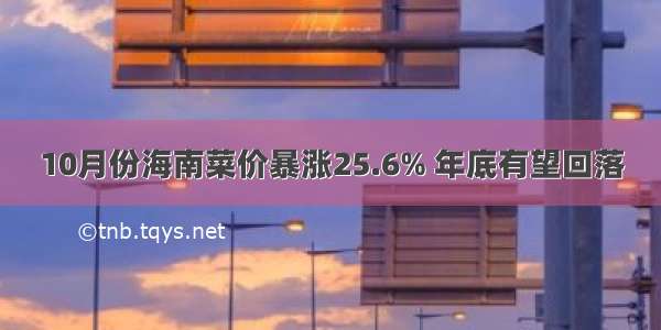 10月份海南菜价暴涨25.6% 年底有望回落