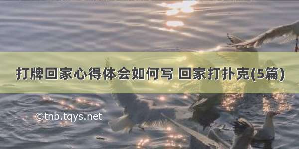 打牌回家心得体会如何写 回家打扑克(5篇)