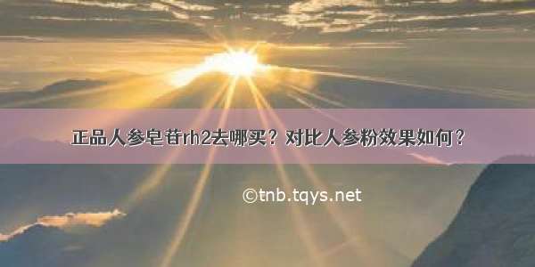 正品人参皂苷rh2去哪买？对比人参粉效果如何？