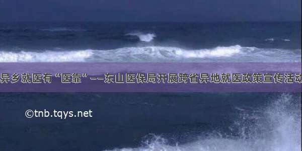 异乡就医有“医靠”——东山医保局开展跨省异地就医政策宣传活动