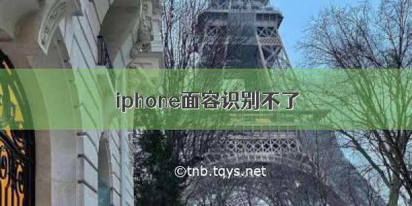 iphone面容识别不了