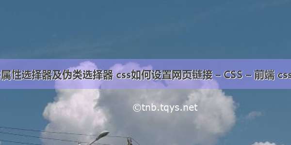 css3属性选择器及伪类选择器 css如何设置网页链接 – CSS – 前端 css标签