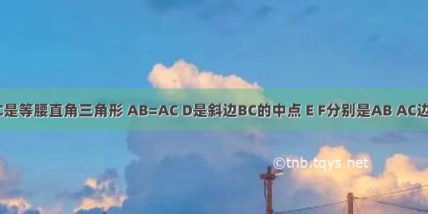 如图 △ABC是等腰直角三角形 AB=AC D是斜边BC的中点 E F分别是AB AC边上得点 且D