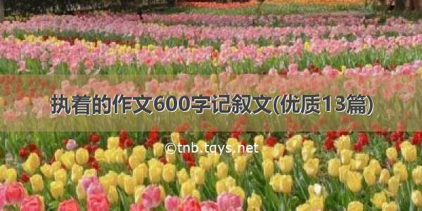 执着的作文600字记叙文(优质13篇)