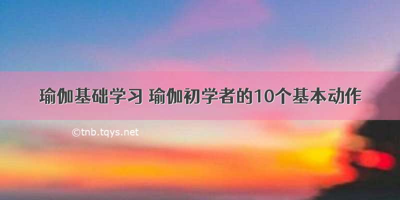 瑜伽基础学习 瑜伽初学者的10个基本动作