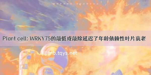 Plant cell: WRKY75的敲低或敲除延迟了年龄依赖性叶片衰老