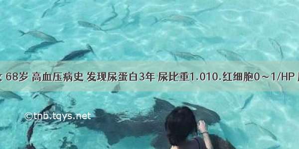 患者 女 68岁 高血压病史 发现尿蛋白3年 尿比重1.010.红细胞0～1/HP 尿蛋白