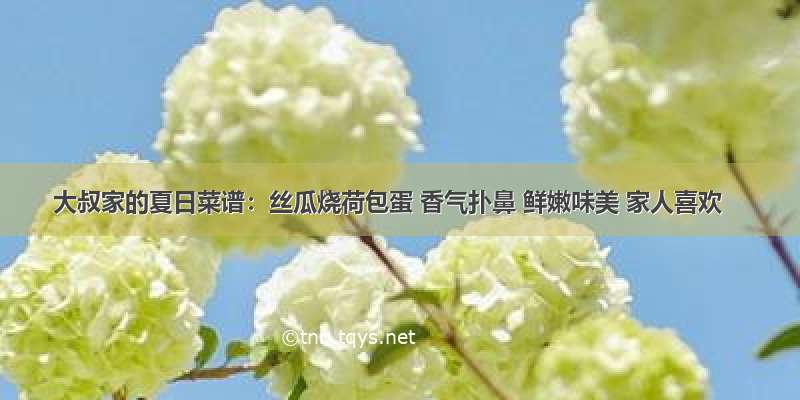 大叔家的夏日菜谱：丝瓜烧荷包蛋 香气扑鼻 鲜嫩味美 家人喜欢