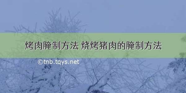 烤肉腌制方法 烧烤猪肉的腌制方法