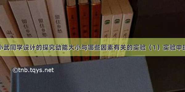 如图所示是小武同学设计的探究动能大小与哪些因素有关的实验（1）实验中球的动能大小