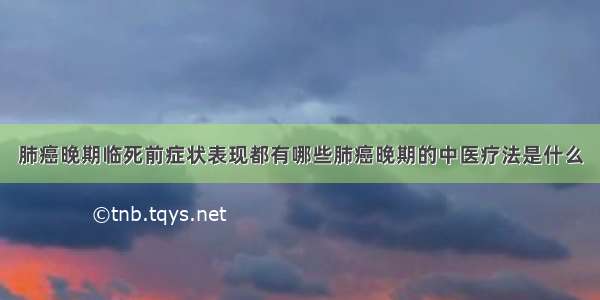 肺癌晚期临死前症状表现都有哪些肺癌晚期的中医疗法是什么