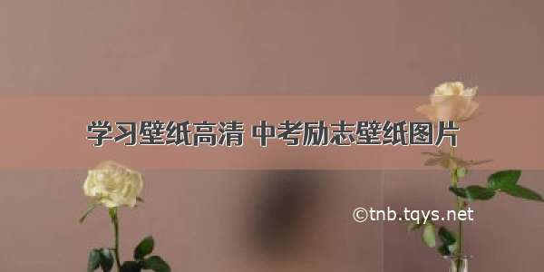 学习壁纸高清 中考励志壁纸图片