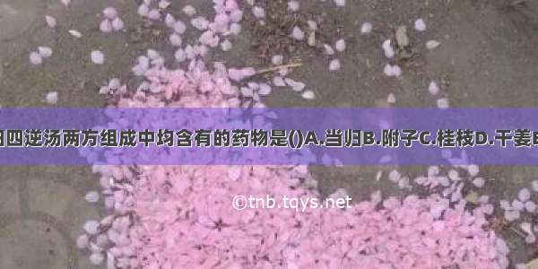 四逆汤与当归四逆汤两方组成中均含有的药物是()A.当归B.附子C.桂枝D.干姜E.甘草ABCDE