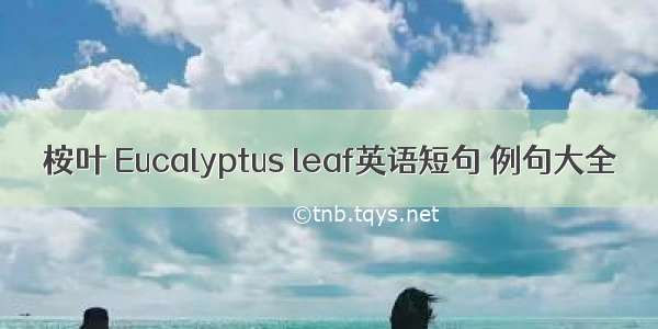 桉叶 Eucalyptus leaf英语短句 例句大全