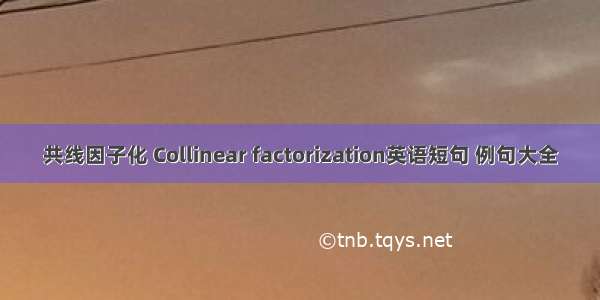 共线因子化 Collinear factorization英语短句 例句大全