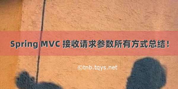 Spring MVC 接收请求参数所有方式总结！