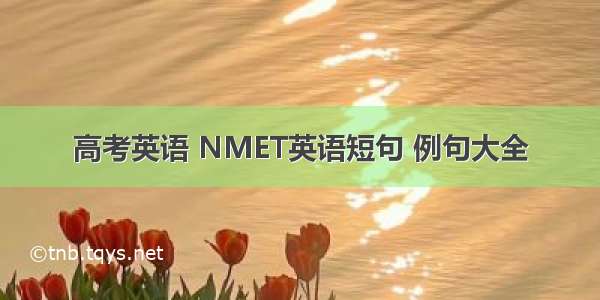 高考英语 NMET英语短句 例句大全