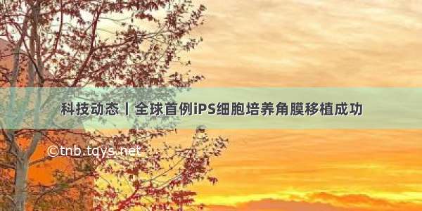 科技动态丨全球首例iPS细胞培养角膜移植成功