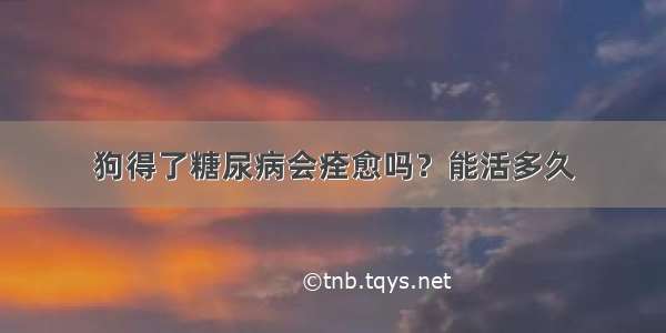 狗得了糖尿病会痊愈吗？能活多久