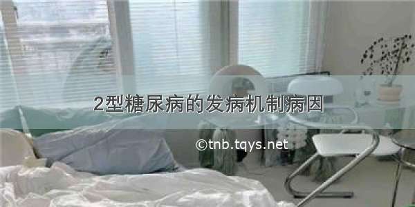 2型糖尿病的发病机制病因