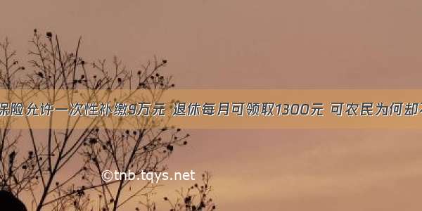 农村养老保险允许一次性补缴9万元 退休每月可领取1300元 可农民为何却不愿意交？