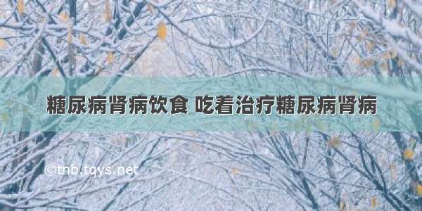 糖尿病肾病饮食 吃着治疗糖尿病肾病