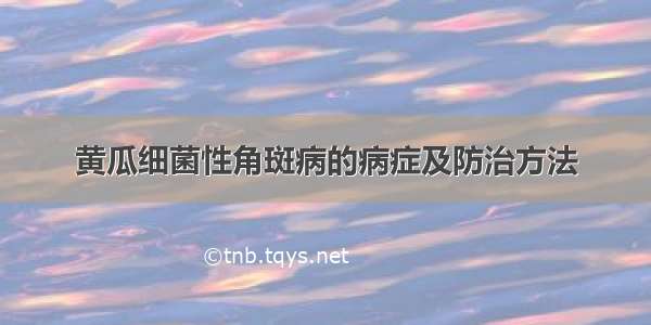 黄瓜细菌性角斑病的病症及防治方法