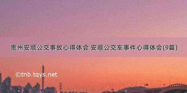 贵州安顺公交事故心得体会 安顺公交车事件心得体会(9篇)