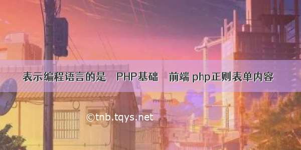 表示编程语言的是 – PHP基础 – 前端 php正则表单内容