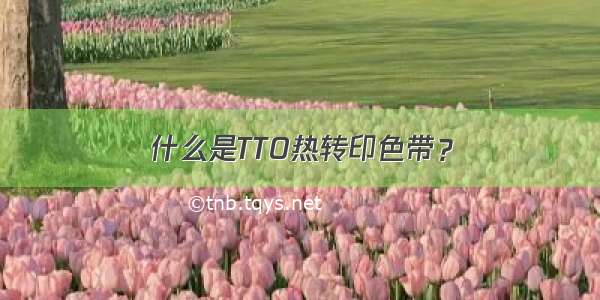 什么是TTO热转印色带？