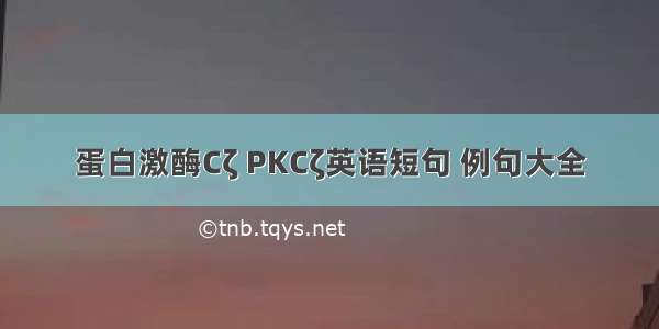 蛋白激酶Cζ PKCζ英语短句 例句大全