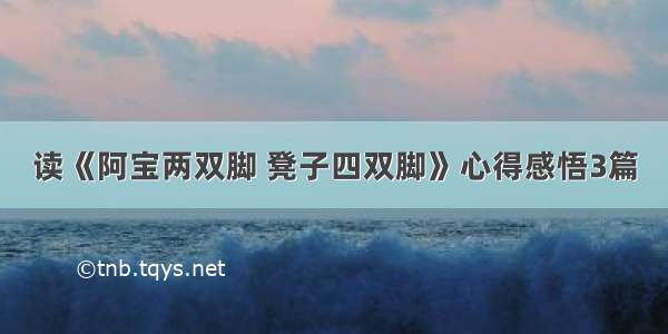 读《阿宝两双脚 凳子四双脚》心得感悟3篇