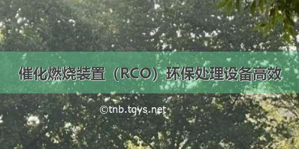 催化燃烧装置（RCO）环保处理设备高效